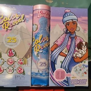 Barbie Color Reveal Christmas Advent Calendar